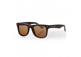 Ochelari de soare maro, pentru barbati, Santa Barbara Polo Sunglasses, SB1114-3